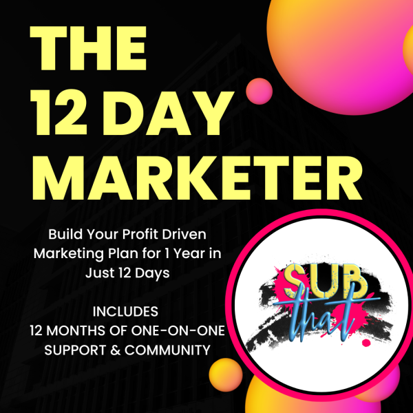 The 12 Day Marketer: Build Your Profit Driven Marketing Plan for 1 Year in Just 12 Days