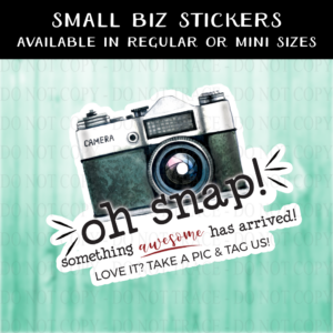 Oh Snap Take a Pic Camera Sticker - MINI OR REGULAR SIZE